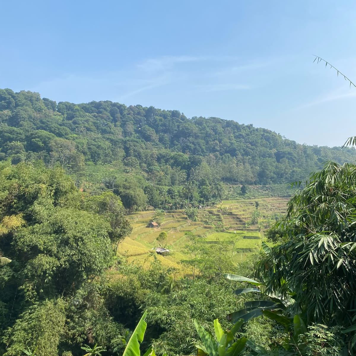 Foto Camping Ground Pancawaluya